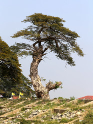 Similar image 6412061