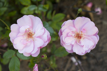 Similar image 6412111