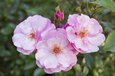 Similar image 6412112