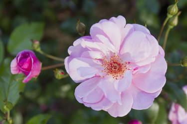 Similar image 6412113