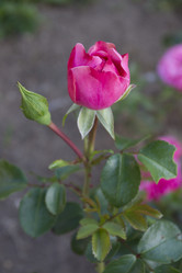 Similar image 6412135