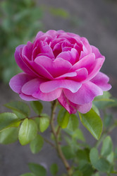 Similar image 6412136