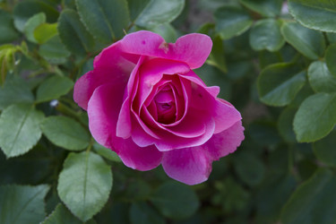 Similar image 6412137