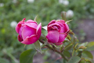 Similar image 6412141