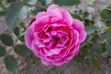 Similar image 6412142