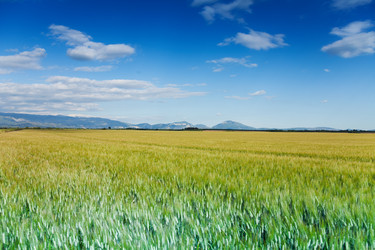 Similar image 6412239