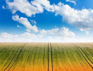 Similar image 6412240