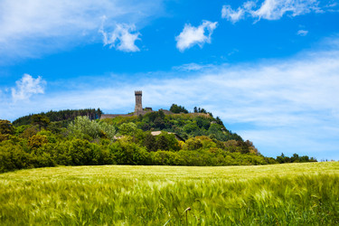 Similar image 6412249