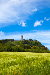 Similar image 6412302