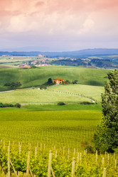 Similar image 6412328