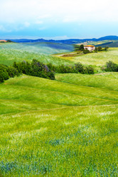 Similar image 6412345