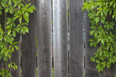 Similar image 6412384