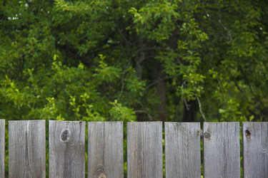 Similar image 6412483