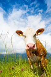 Similar image 6412595