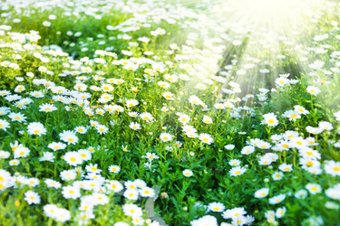 Similar image 6412670