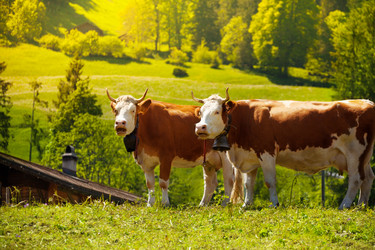 Similar image 6412719