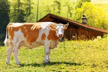 Similar image 6412756