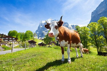 Similar image 6412760