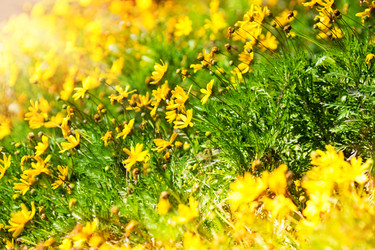 Similar image 6412775