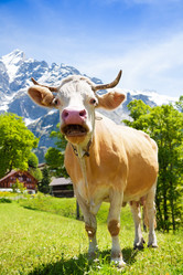 Similar image 6412804