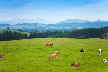 Similar image 6412805