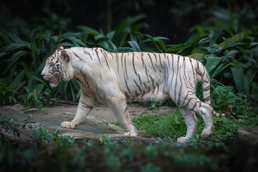 Similar image 6413115