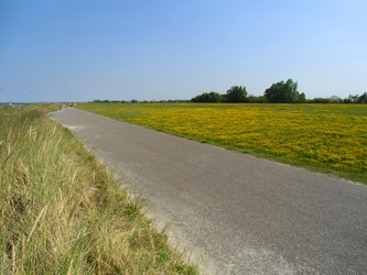 Similar image 6413125