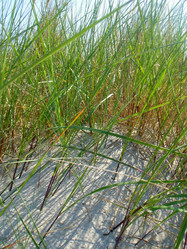 Similar image 6413126