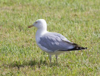 Similar image 6413149