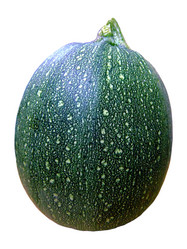 Similar image 6413151