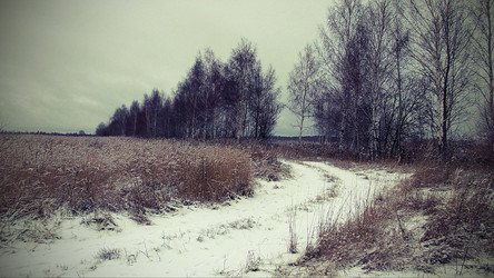 Similar image 6413153