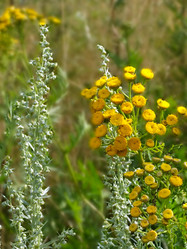 Similar image 6413158