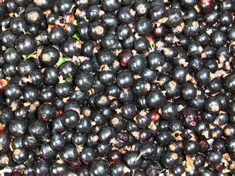 Similar image 6413159