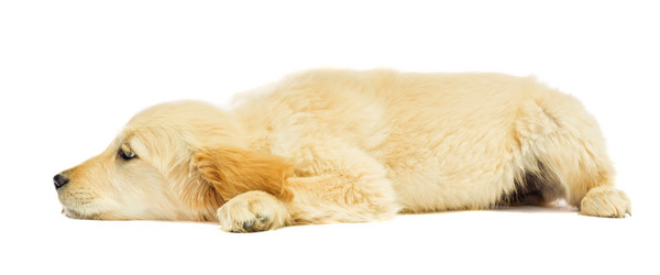 Similar image 6413166