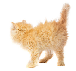 Similar image 6413169