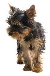 Similar image 6413172