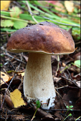 Similar image 6413340