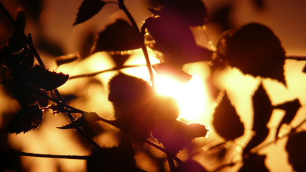 Similar image 6413341