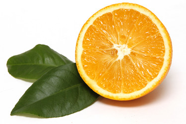 Similar image 6413356