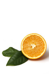 Similar image 6413357