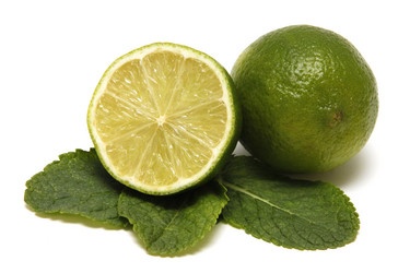 Similar image 6413358