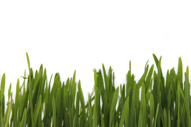 Similar image 6413362