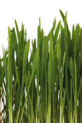 Similar image 6413363