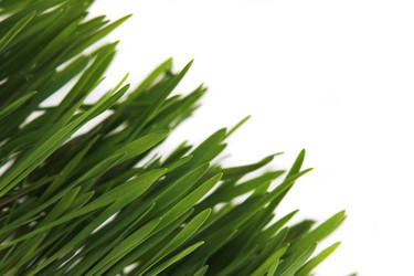 Similar image 6413375