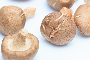 Similar image 6413389