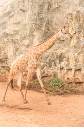 Similar image 6413393