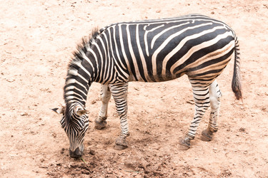 Similar image 6413400