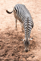 Similar image 6413401