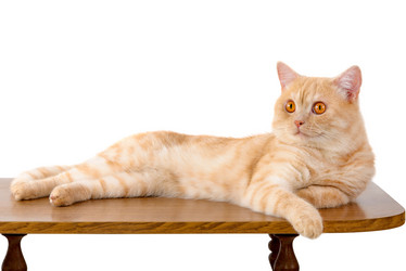 Similar image 6413806