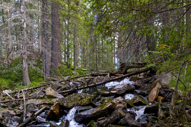 Similar image 6425487